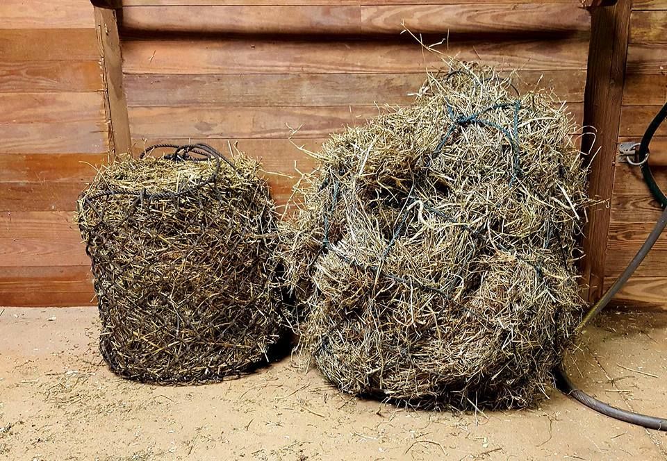 Feeding hay by weight vs flakes Chronicle Forums